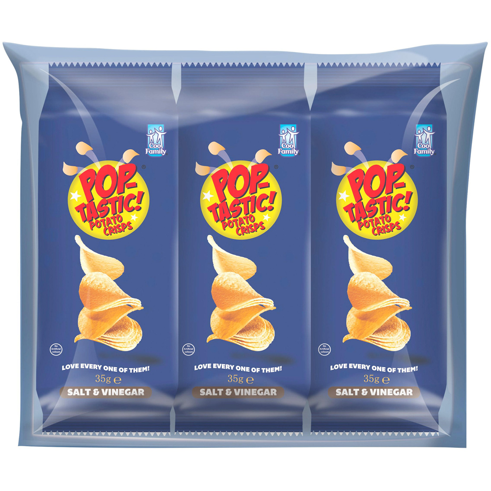 Pop-Tastic! Snack Packs Salt and Vinegar 3 Pack Image