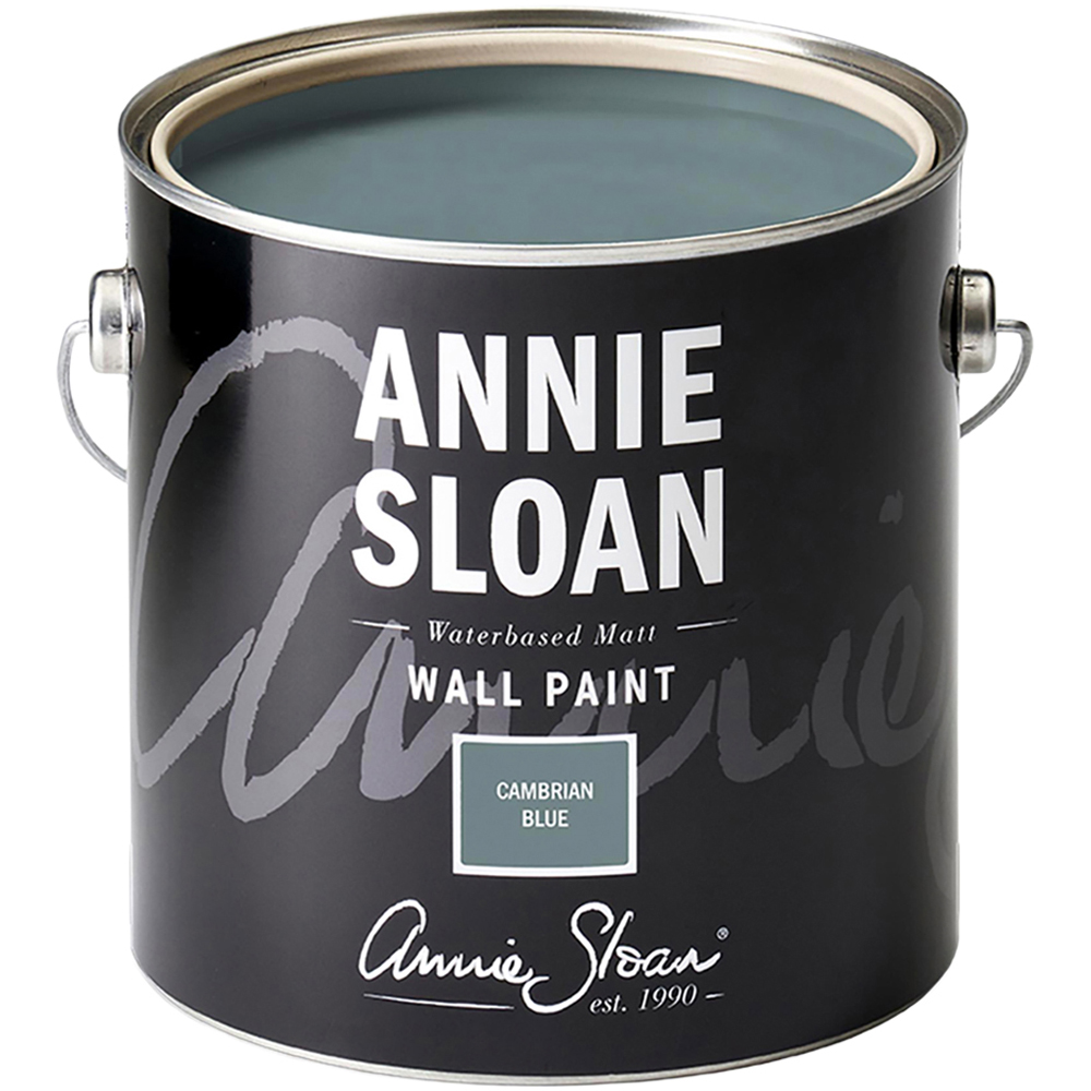 Annie Sloan Cambrian Blue Matt Wall Paint 2.5L Image 2