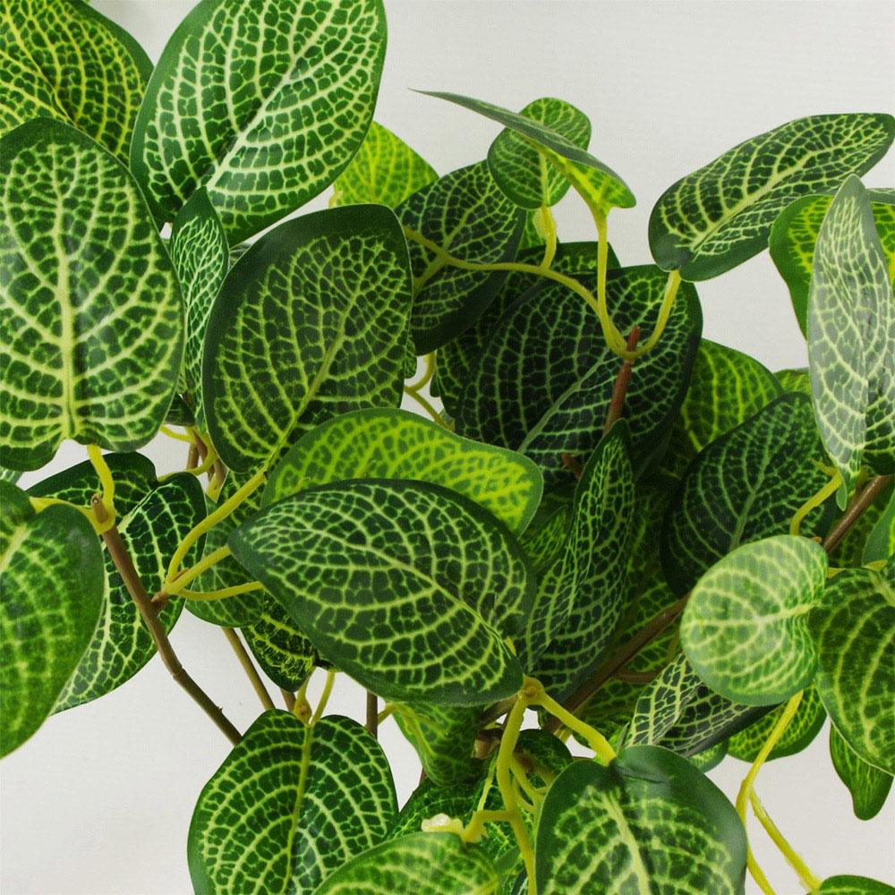 Botanik Variegated Pothos Foliage Artificial Plant in Pot 40cm Image 5