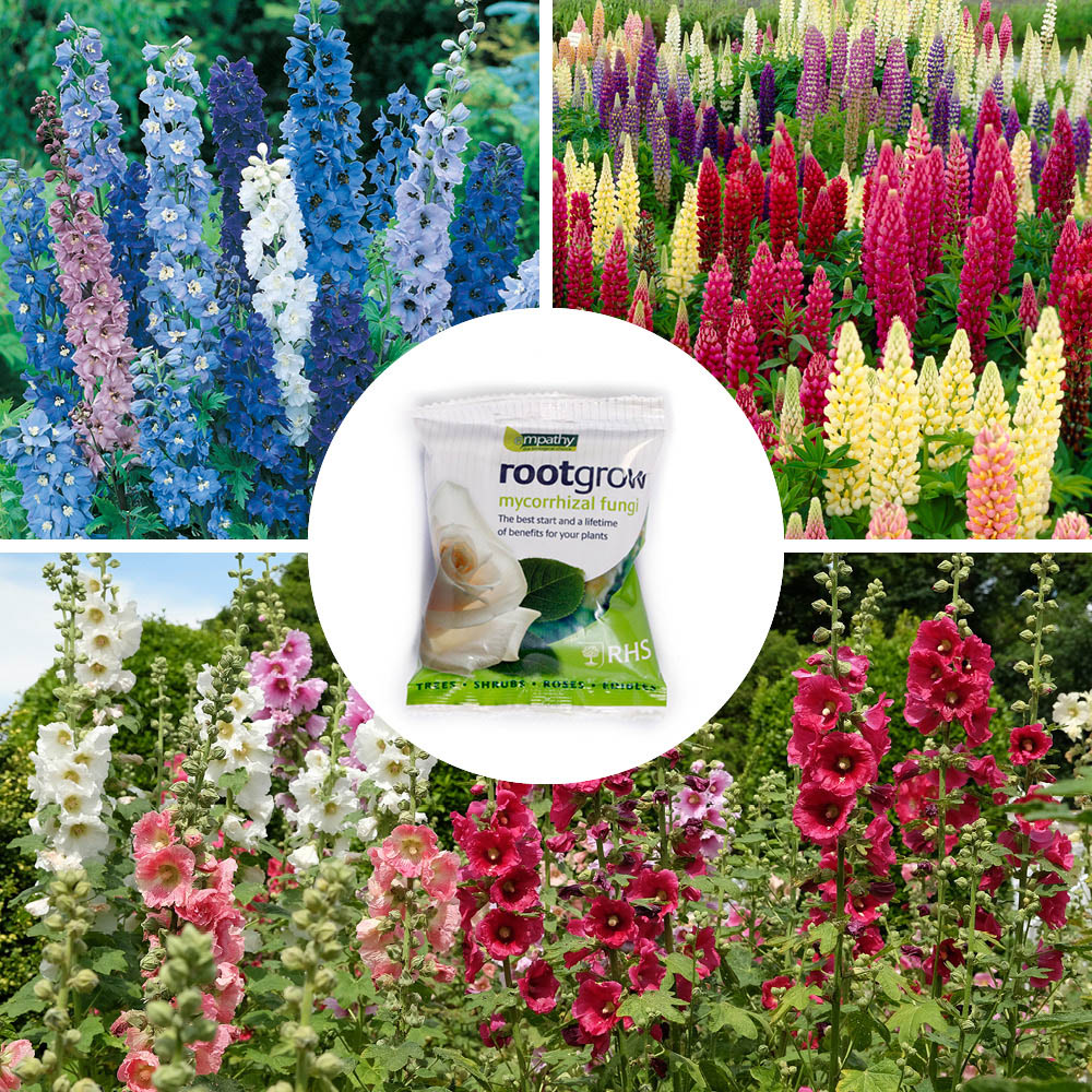 YouGarden Towers Bare Root Collection 25 Pack Image 5