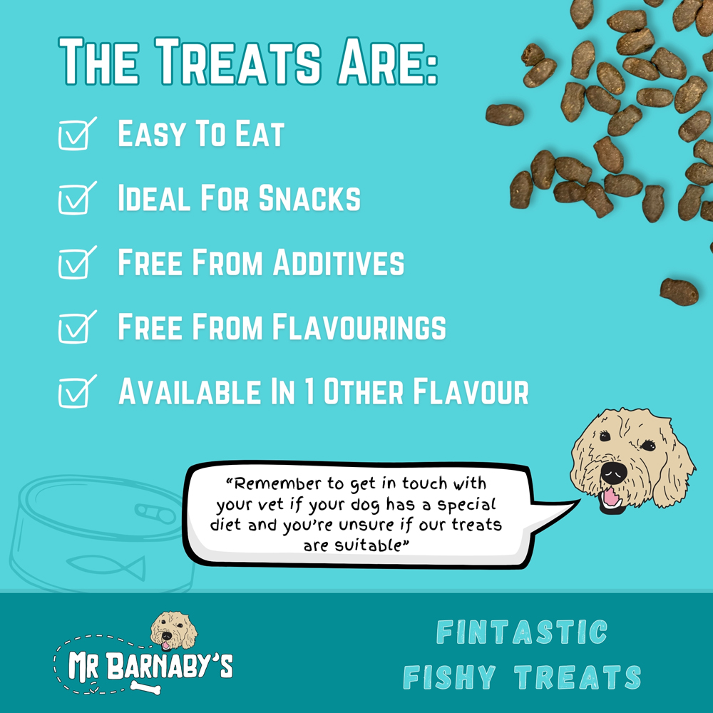 Mr Barnaby's Fintastic Fishy Grain-Free Hypoallergenic Dog Treats 100g 2 Pack Image 6