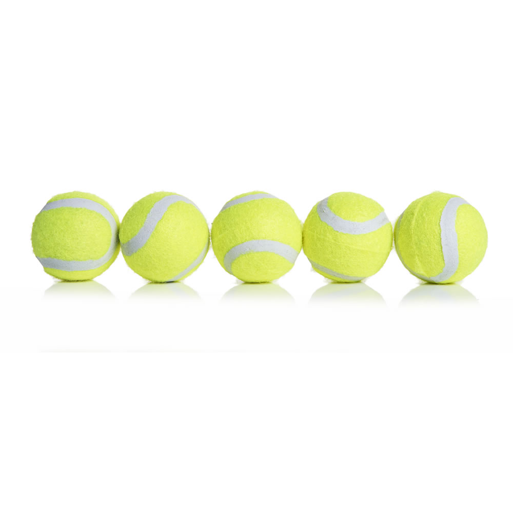 Wilko 5 pack Mini Squeaky Tennis Balls Dog Toys Image