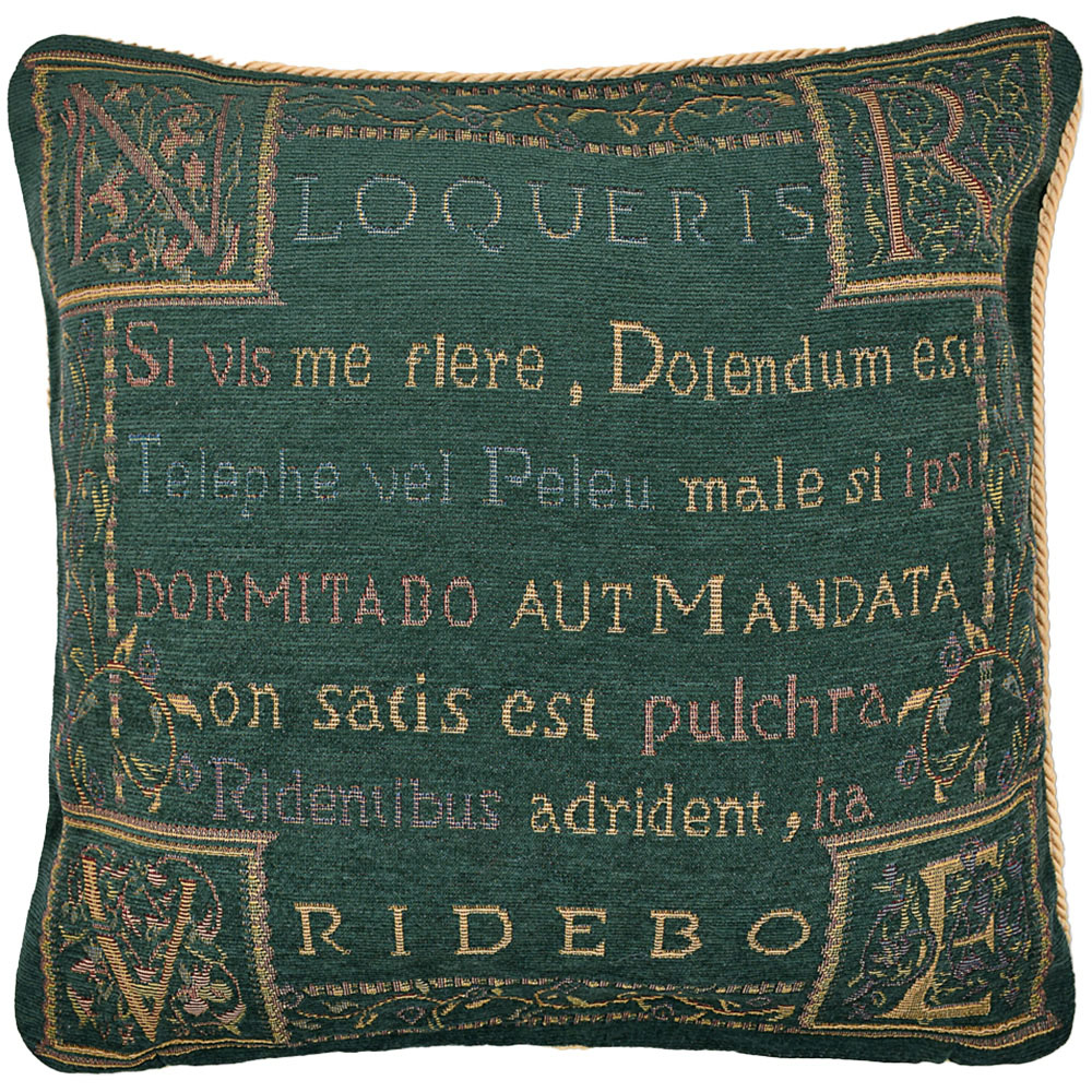 Velosso Loquerius Green Filled Cushion 43 x 43cm 2 Pack Image 1