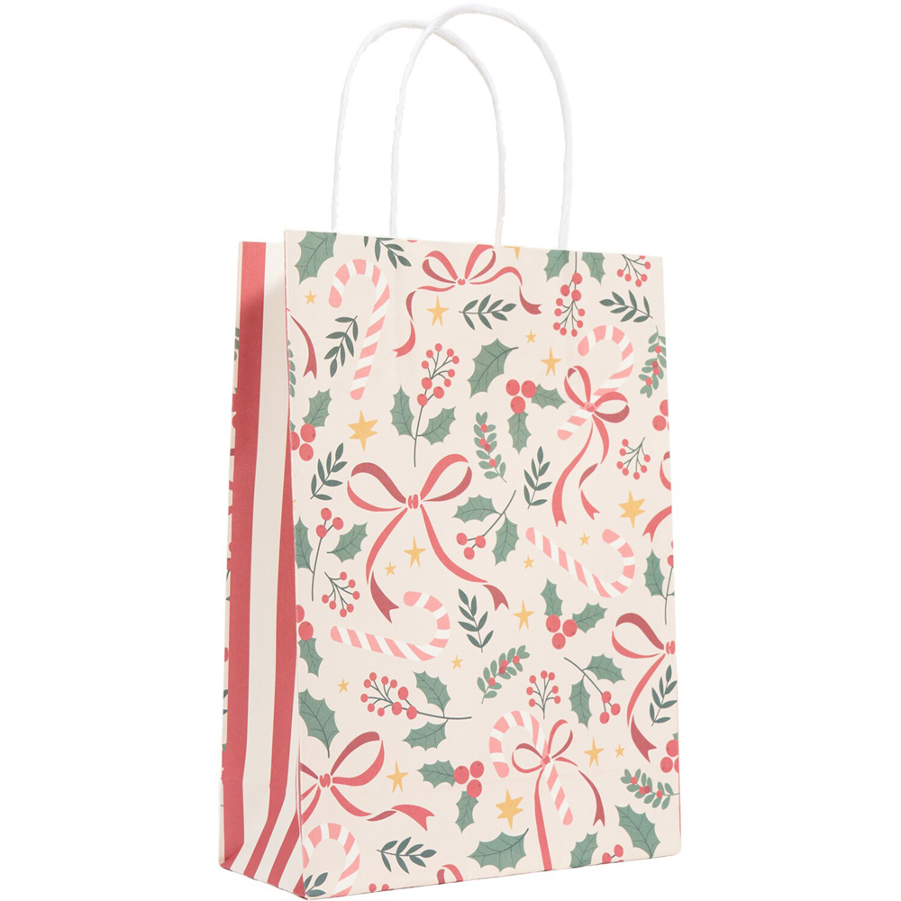 Pack of 10 Christmas Bow Party Bags Image 3