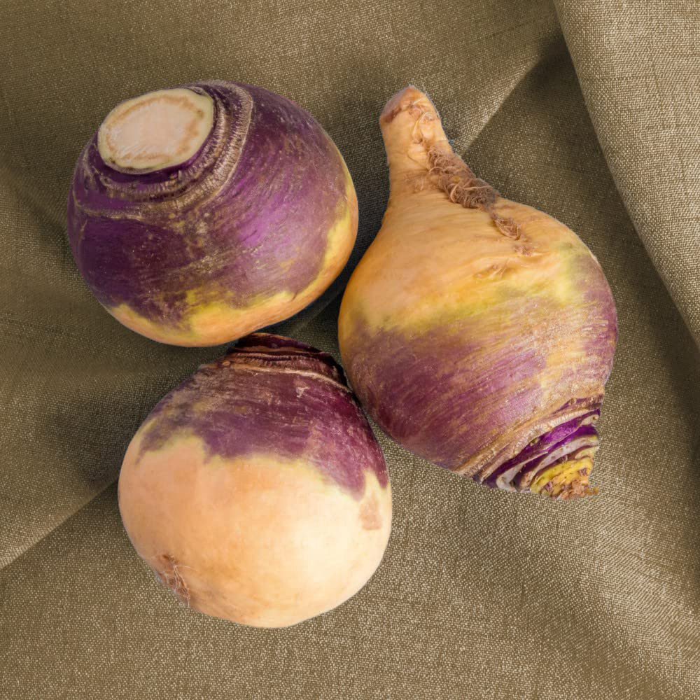 Thompson & Morgan Swede Brora Seeds Image 3