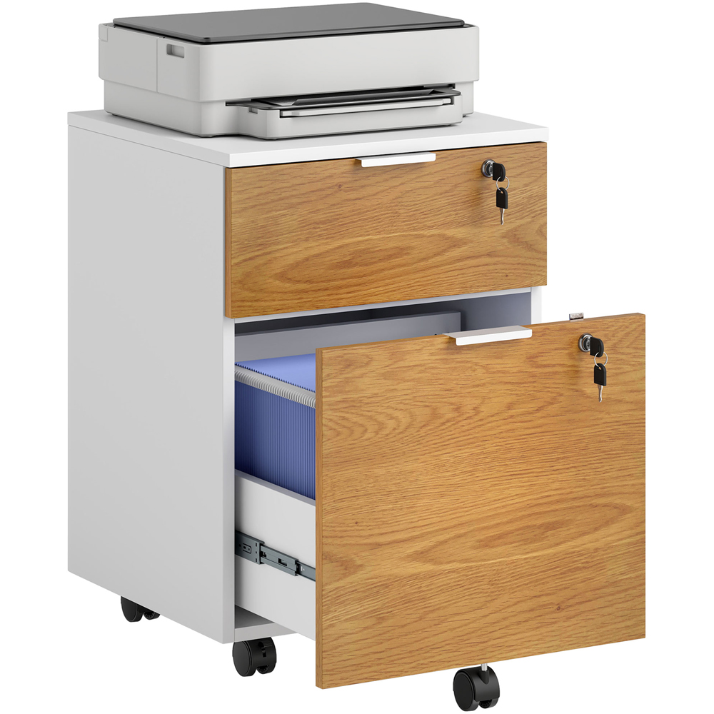 HOMCOM 2 Drawer Filing Cabinet with Adjustable Hanging Bars Image 2