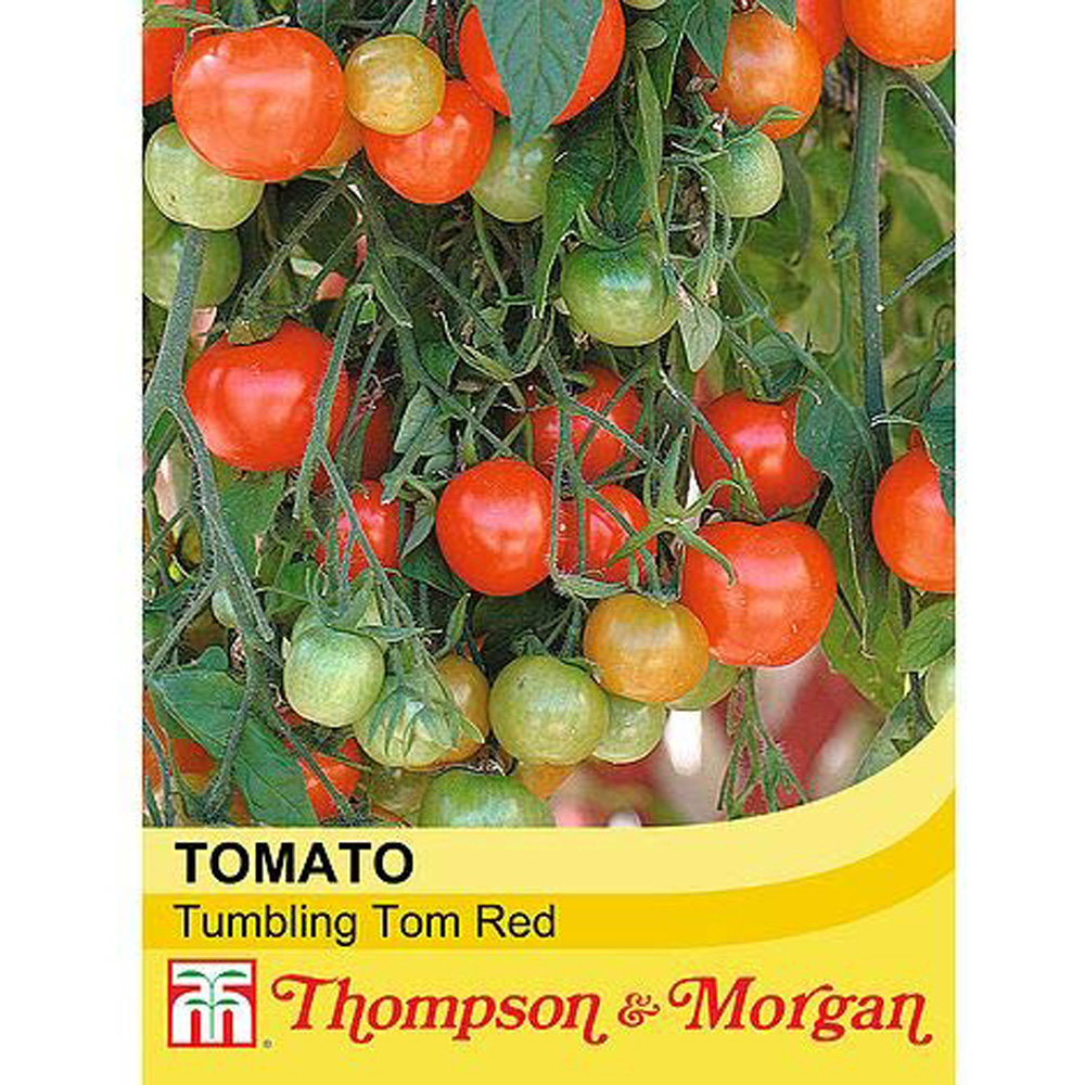 Thompson & Morgan Tomato Tumbling Tom Red Seeds Image 2