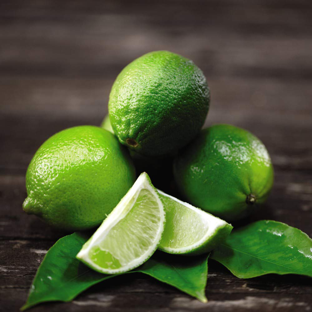 Thompson and Morgan Citrus Lime Tree Potted Plant 9cm 3 Pack Image 3