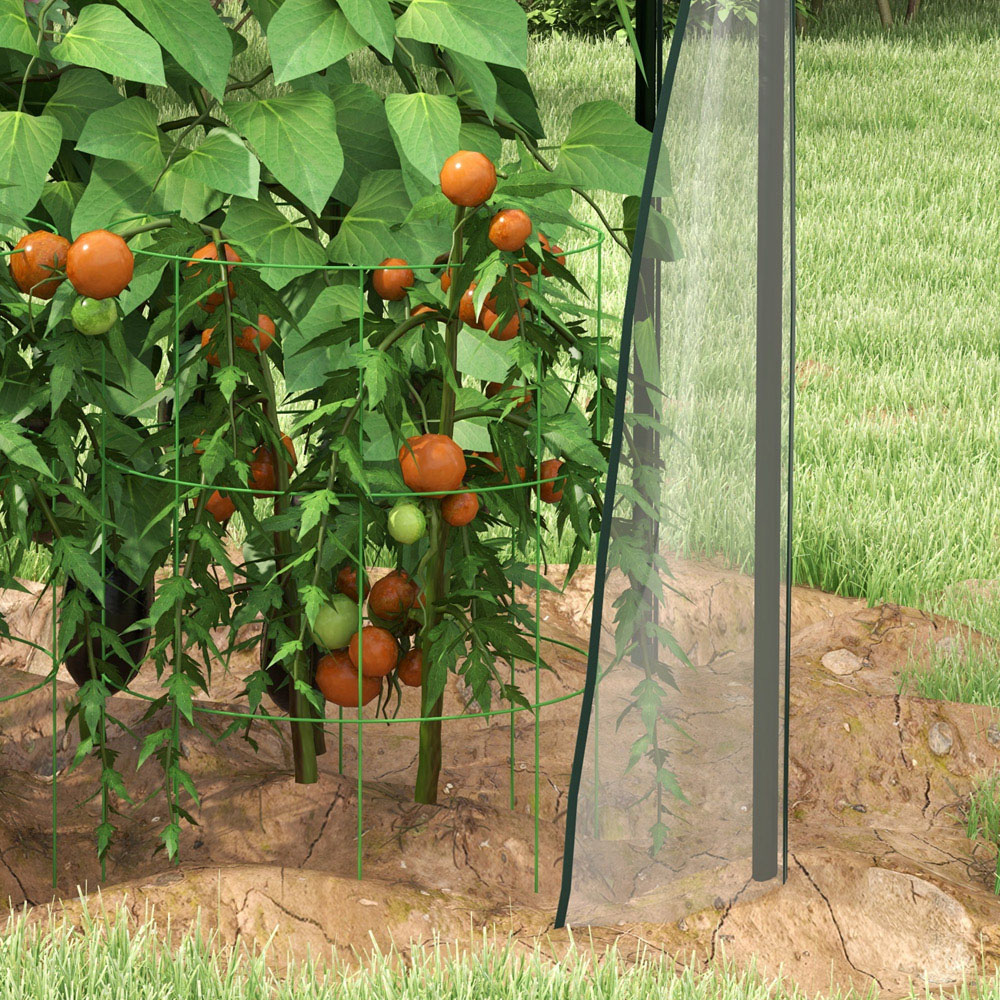 Outsunny Clear Plastic 3 x 3ft Tomato Outdoor Greenhouse Image 3