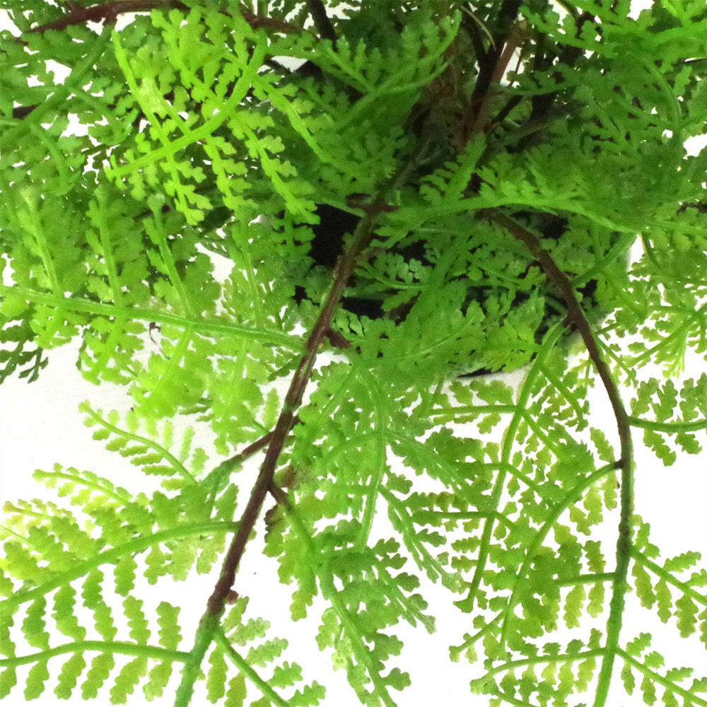 Leaf Botanical Fern Artificial Plant in Plastic Pot 1ft Image 5
