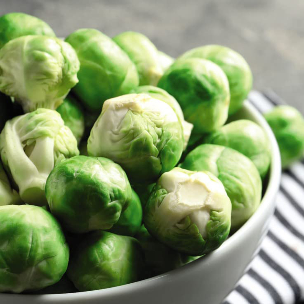 Thompson Morgan Brussels Sprout Crispus Postiplugs 20 Pack Wilko Thompson Morgan Brussels Sprout Crispus Postiplugs 20 Pack Wilko