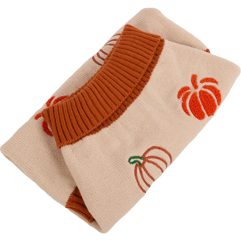 Pumpkin Dog Jumper Neutral M Image 6