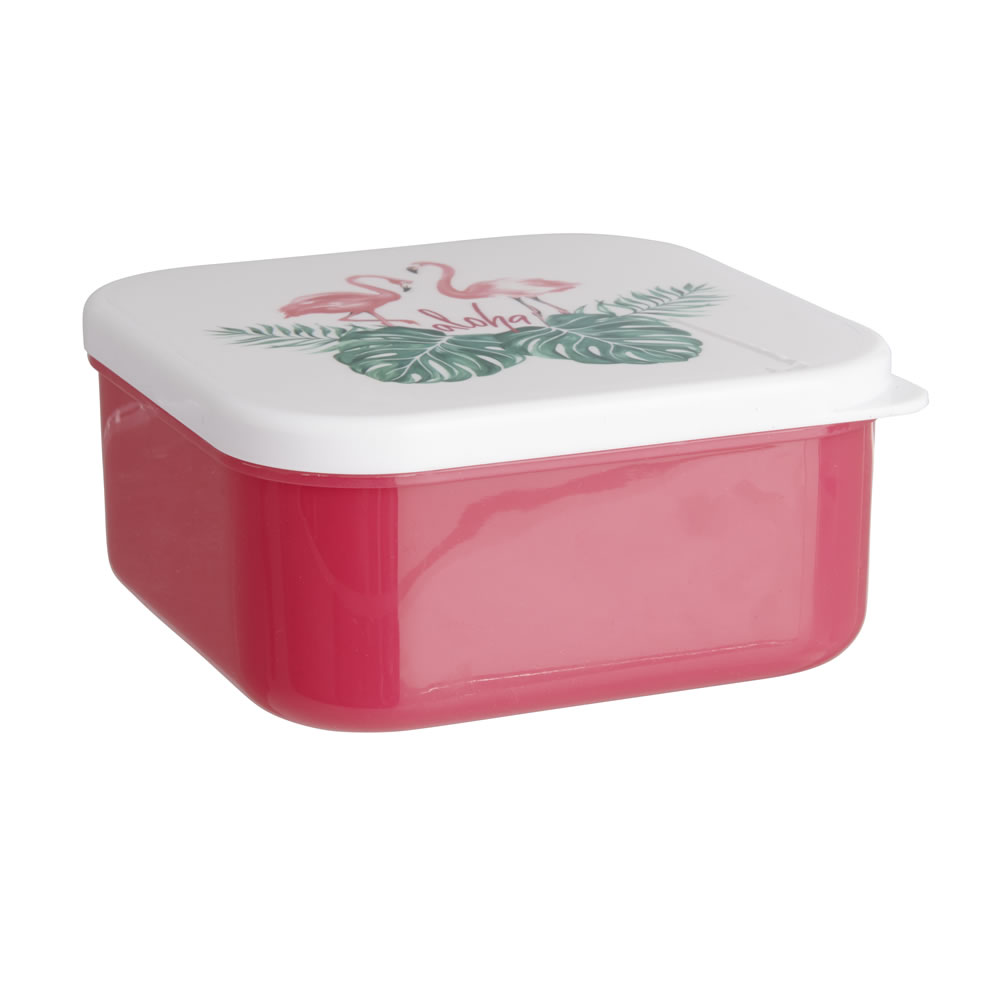 Wilko Discovery Food Containers Assorted Wilko