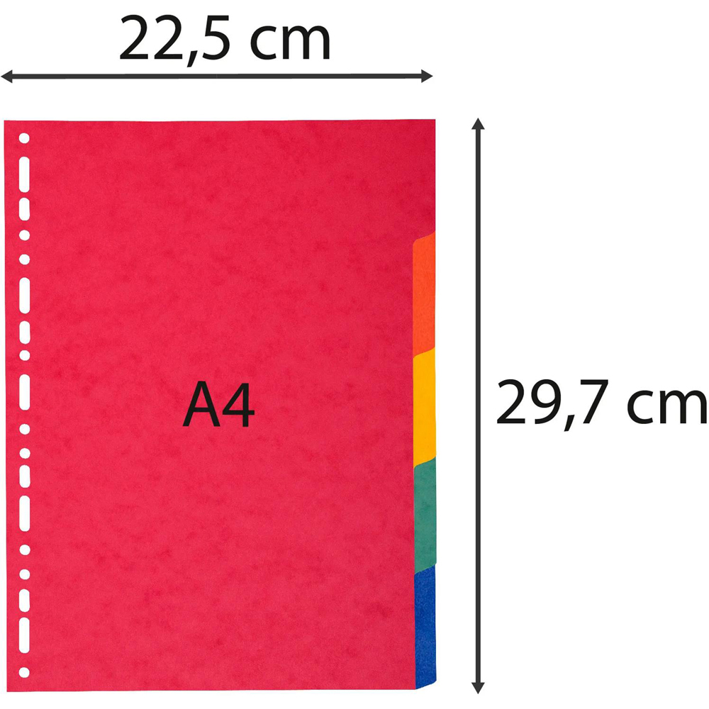Exacompta A4 5 Section Assorted Colour Lightweight Divider 25 Pack Image 4