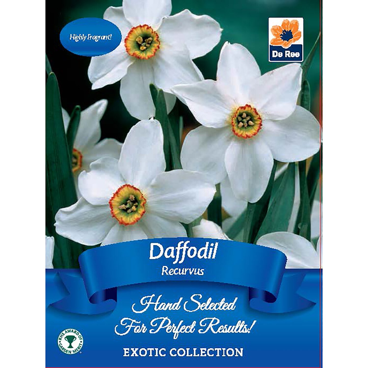 Exotic Seed Collection Image 14