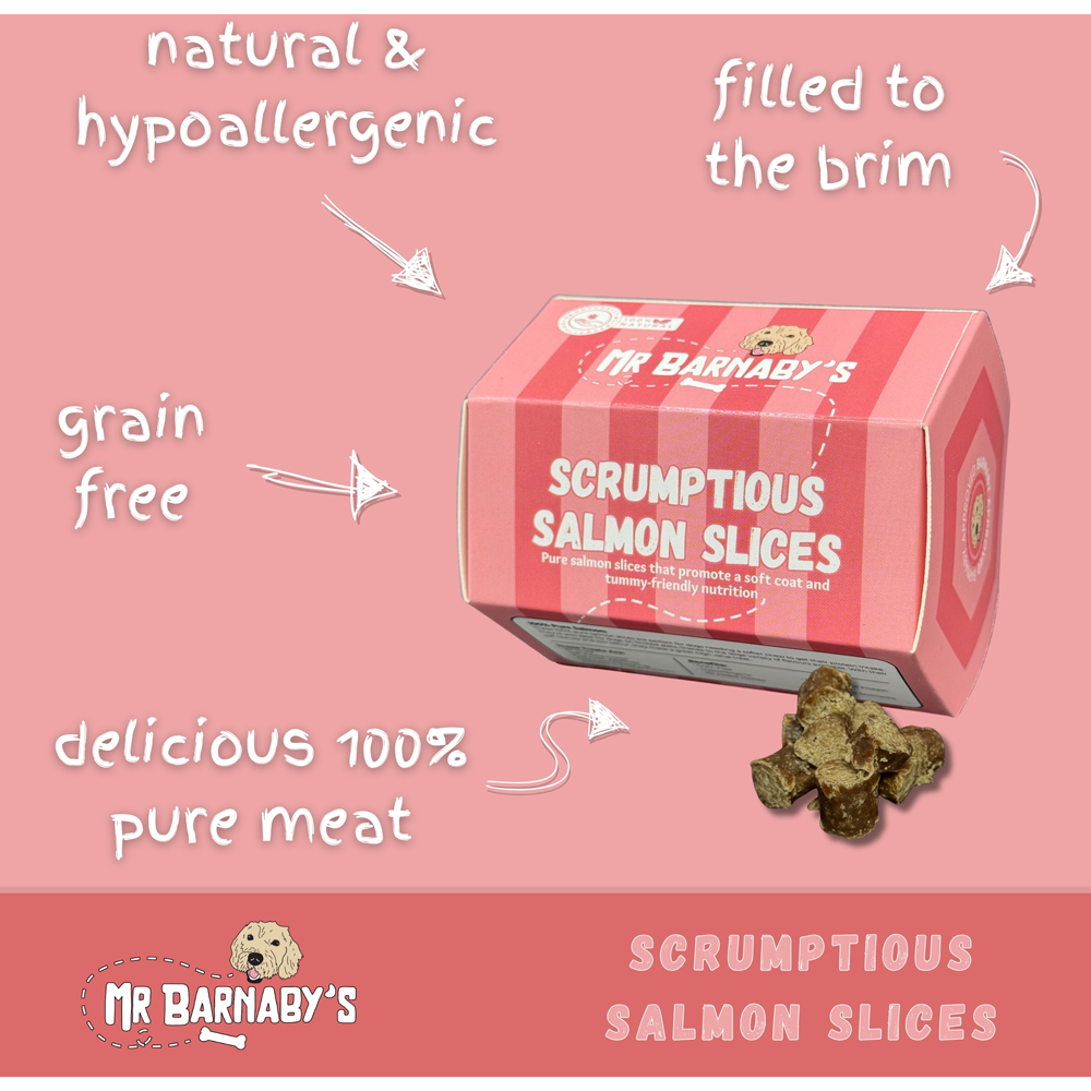 Mr Barnaby's Scrumptious Salmon Slices Dog Treats 2 Pack Image 3