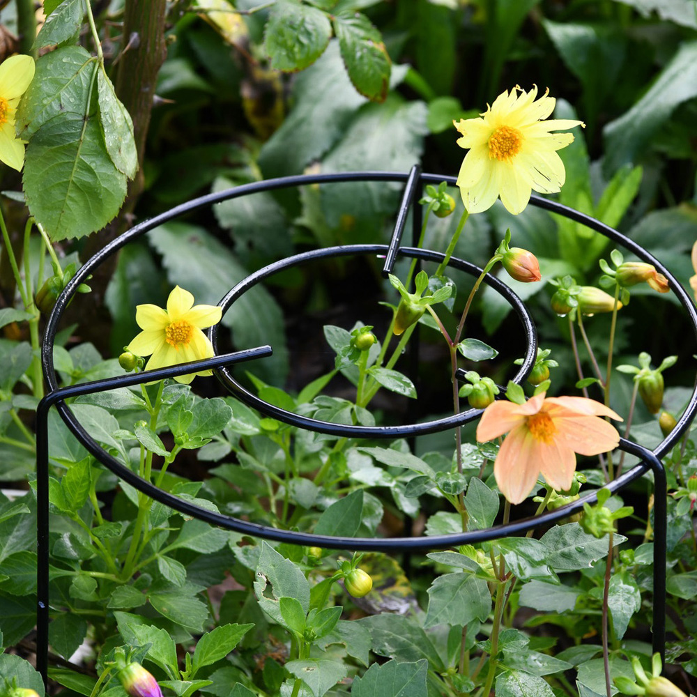 Garden Gear Grow Through Medium Double Round Grid Support 25cm Image 3