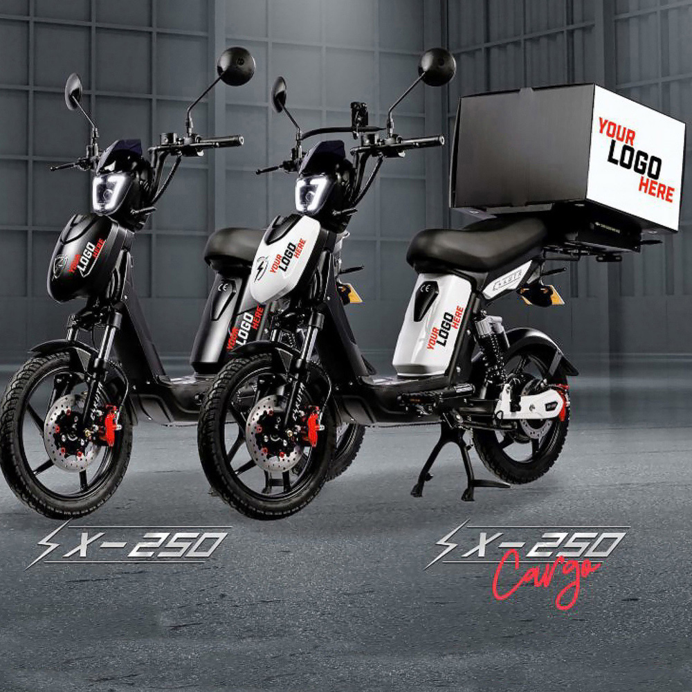 Eskuta SX-250 Cargo Matte Blue Electric Bike 48V Image 8