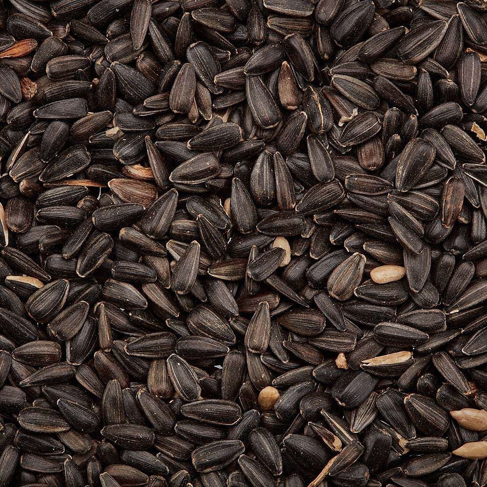 Happy Beaks Black Sunflower Seed Bird Food 4kg Image 5