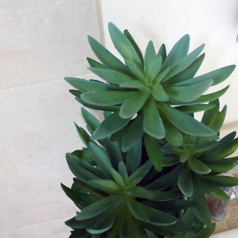 Botanik Tropical Yukka Artificial Plant in Pot 60cm Image 3