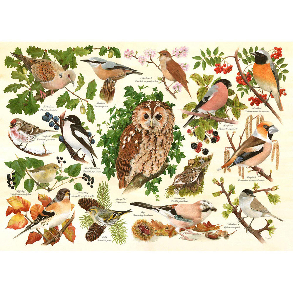 The House of Puzzles Woodland Birds 500 Piece Big Jigsaw Puzzle Image