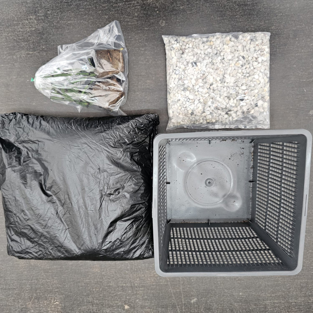 Thompson & Morgan Water Lily Trio Pond Basket Planting Kit Image 6