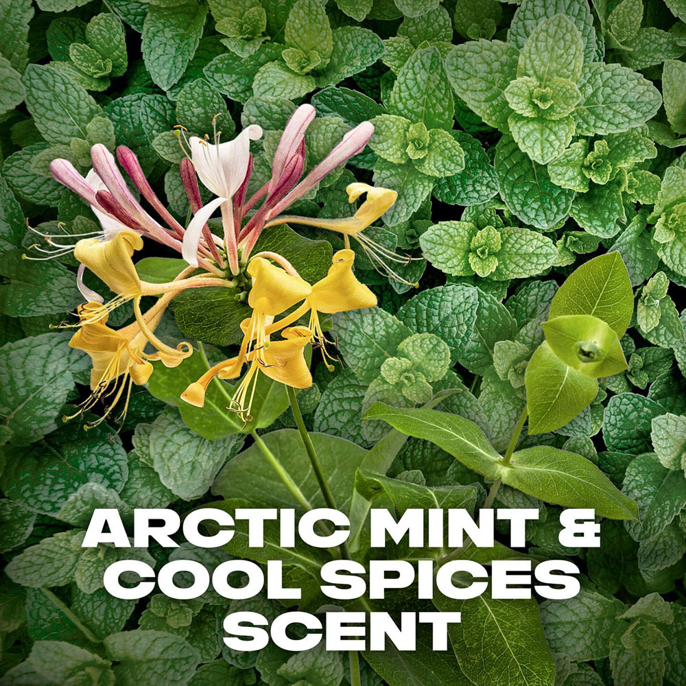 Lynx Recharge Arctic Mint and Cool Spices Shower Gel 500ml 3 Pack Image 4