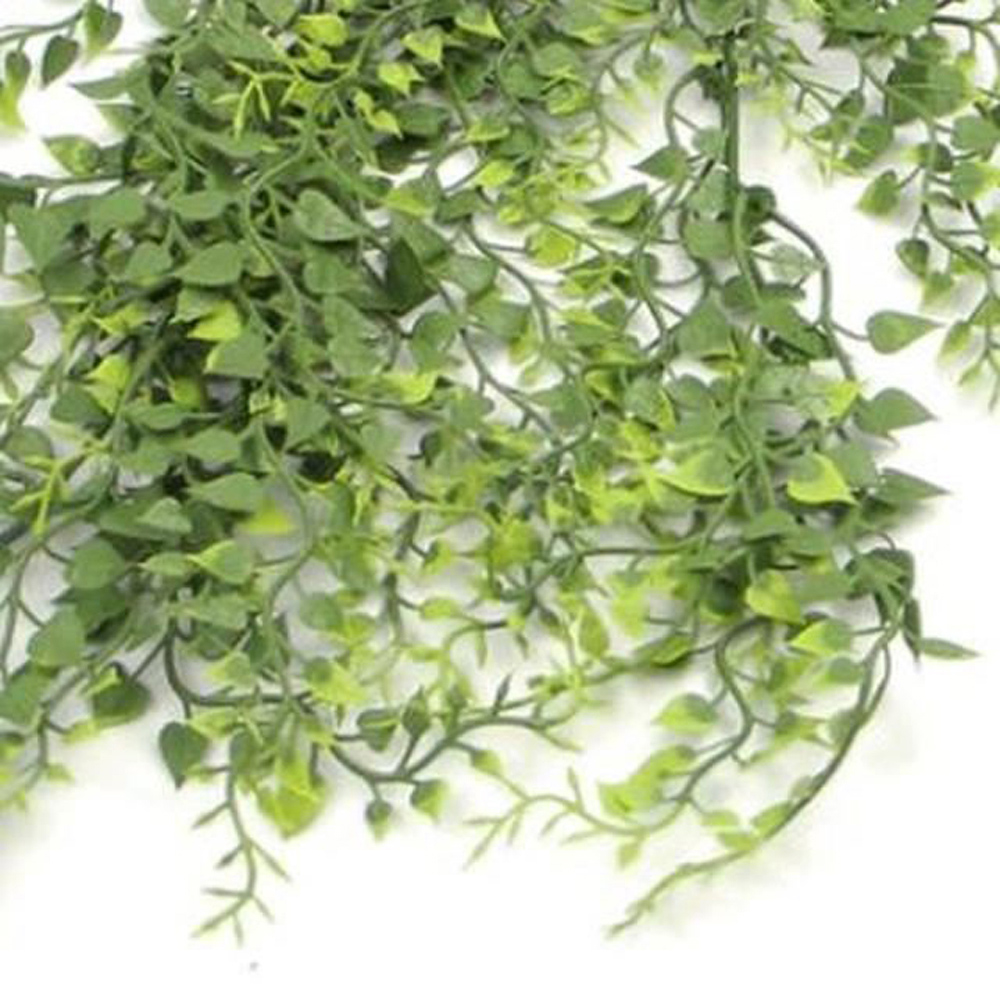 Leaf Trailing Button Fern Foliage Hanging UV and Fire Resistant Artificial Plant 82cm 6 Pack Image 4