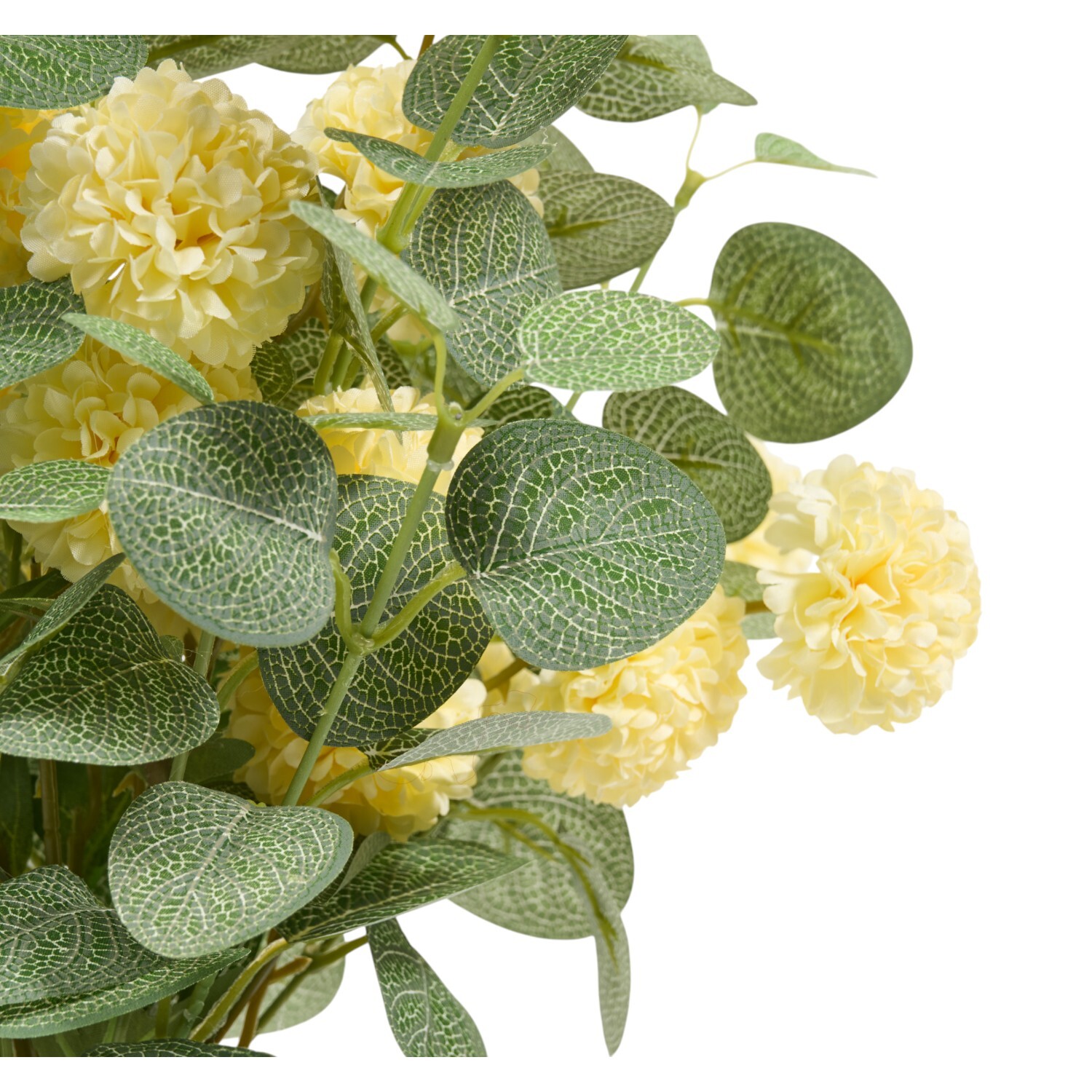 Eucalyptus and Pompom Vase Arrangement Yellow Image 4