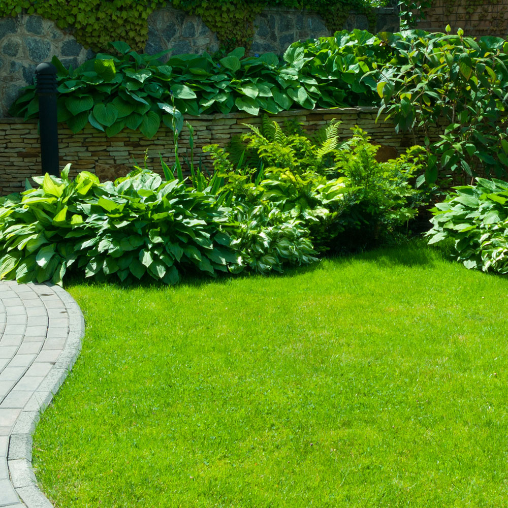 Harrowden Lawn Turf 20sqm Image 2