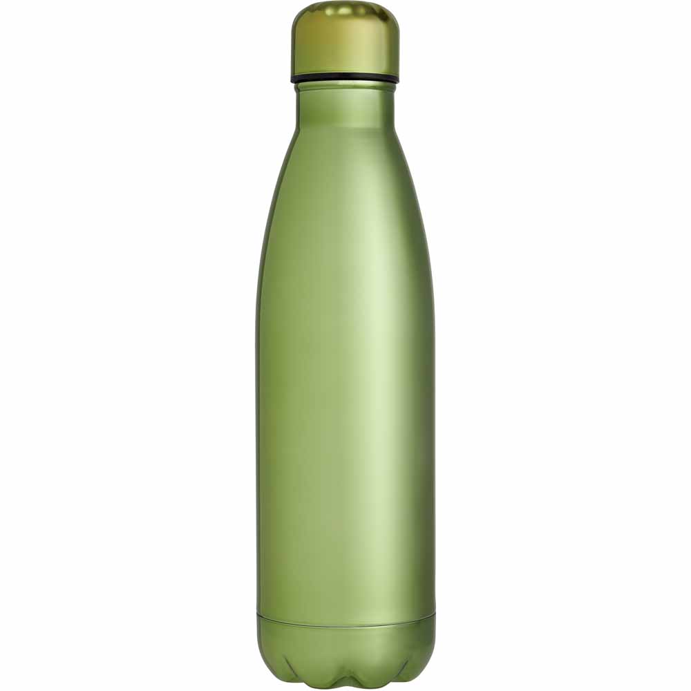 Wilko Mint Metallic Double Wall Bottle Wilko