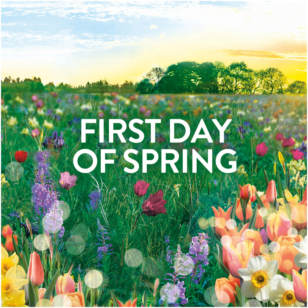Lenor In Wash Scent Booster Beads 155g First Day of Spring Image 6