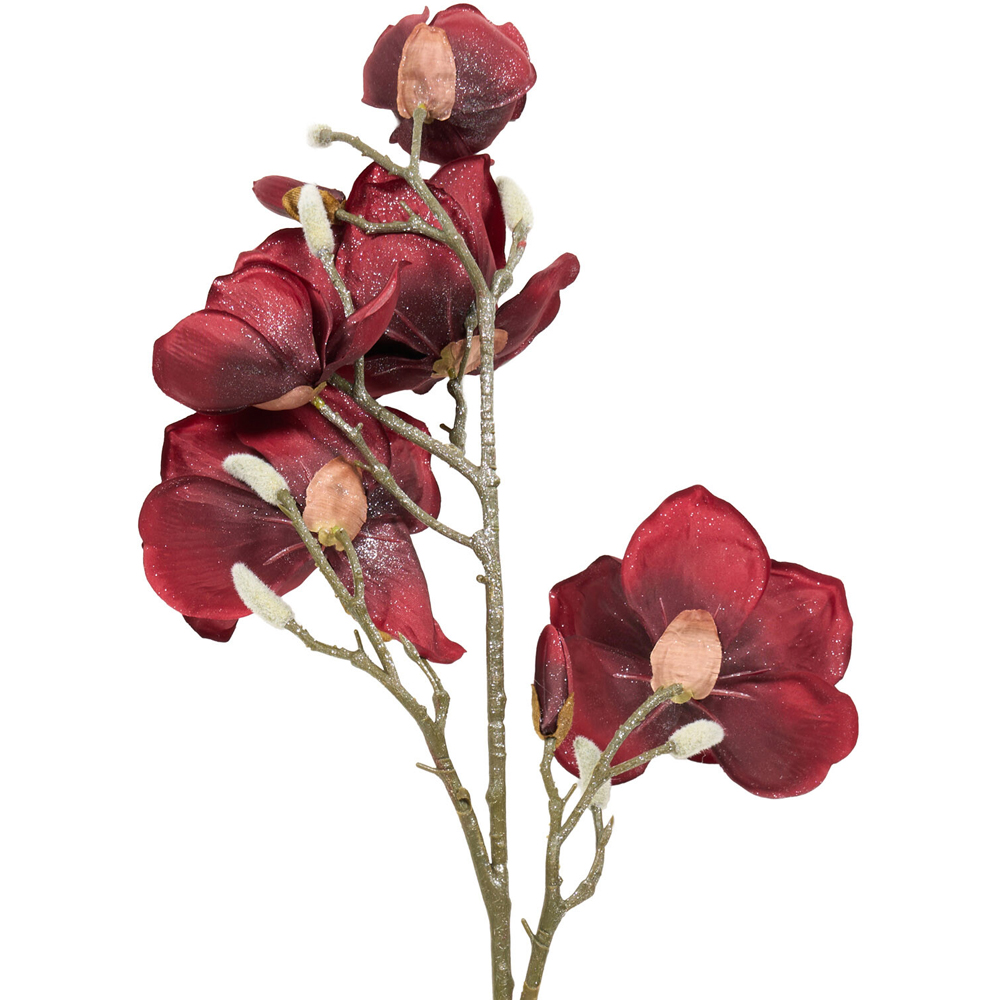 Shimmer Magnolia Stem Image 7