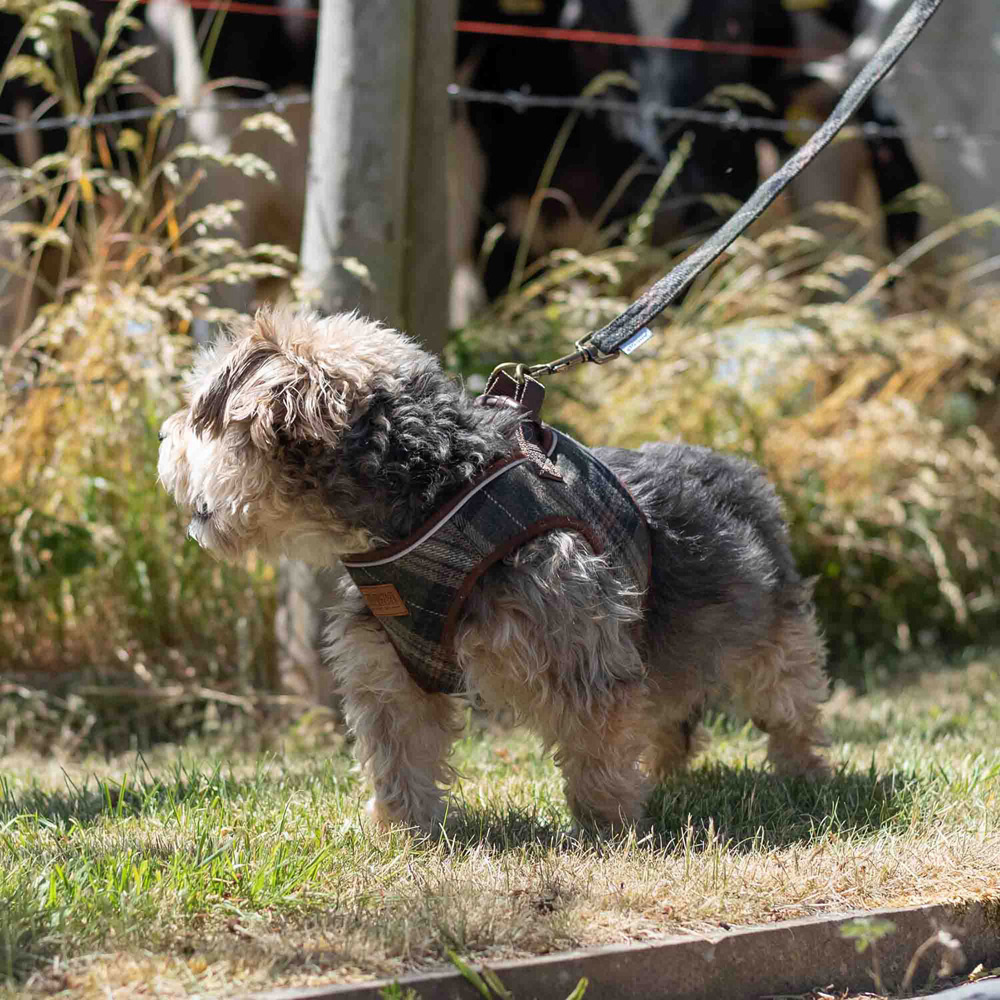 Country Check Lead Image 2
