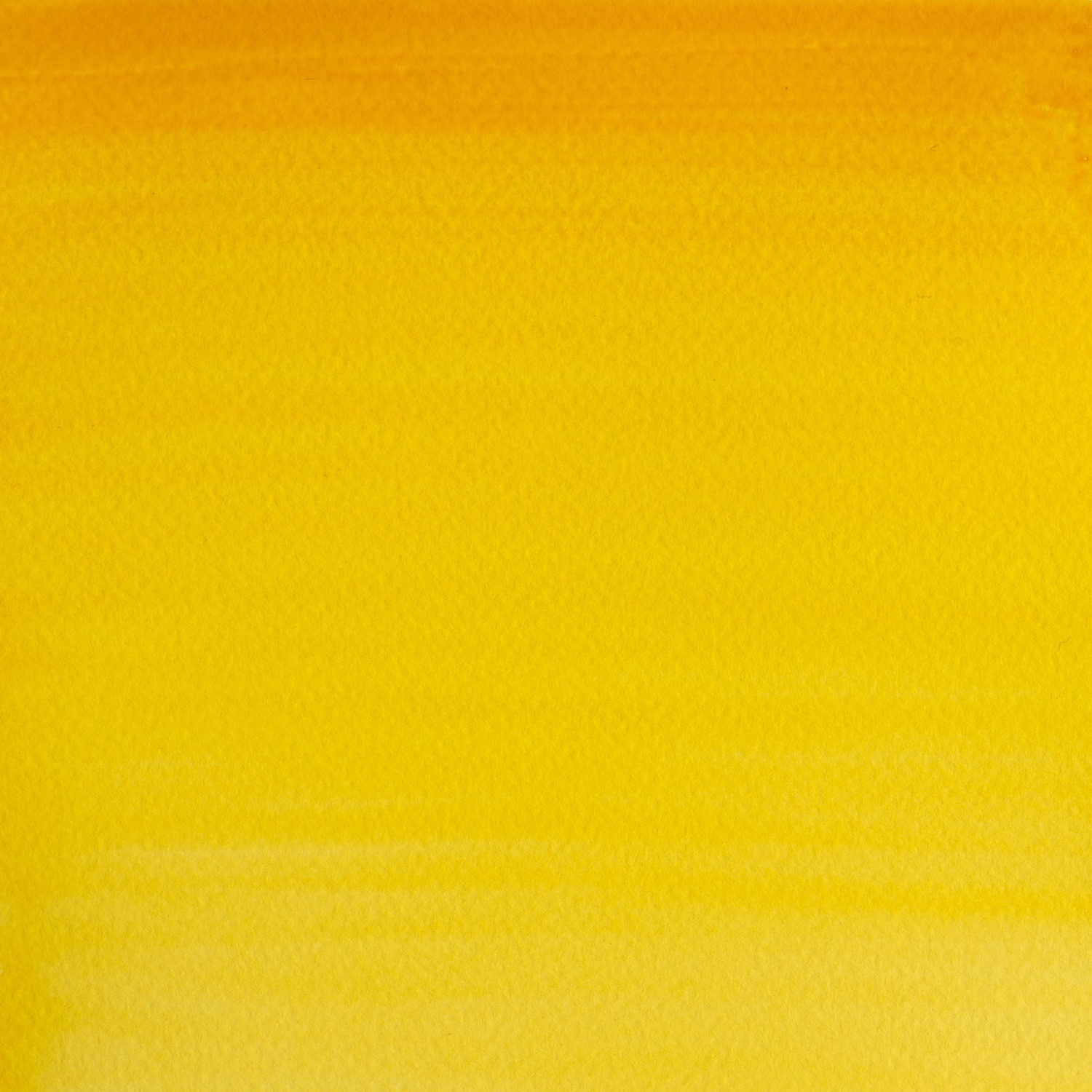 Winsor and Newton Cotman Watercolour Paint - Cadmium Yellow Hue Image 2