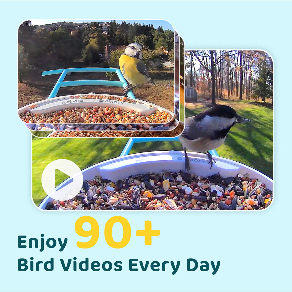 Birdfy Smart Solar Bird Feeder with 1080p HD AI Camera Image 4
