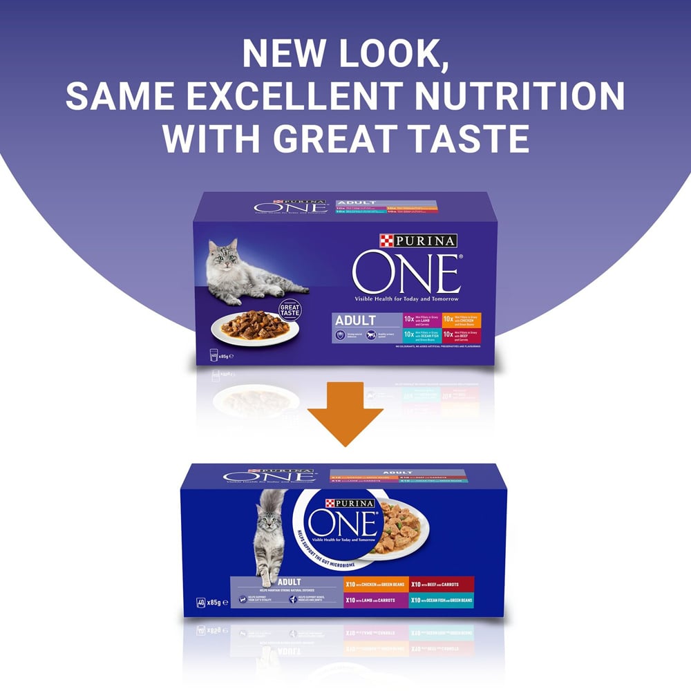Purina One Mini Fillets in Gravy Adult Cat Food 40 Pack Image 2