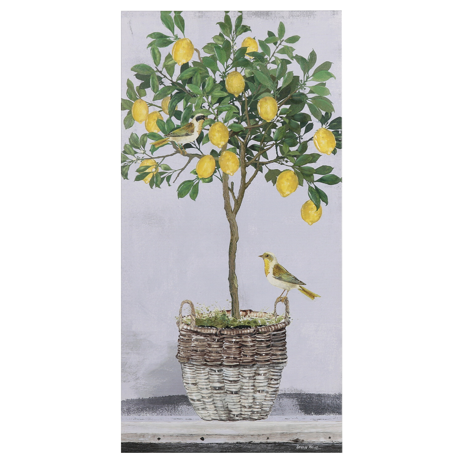 K.White Birds on The Lemon Tree Canvas Wall Art 40 x 80cm Image