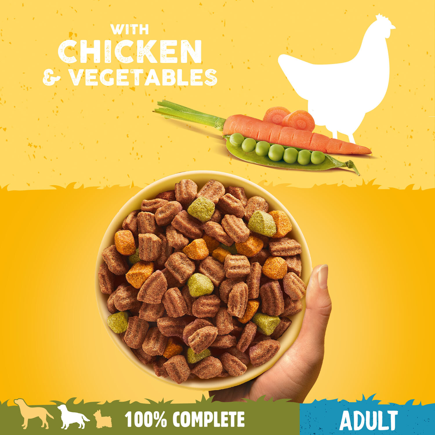 Pedigree Complete Chicken and Vegetables Adult Dry Dog Food 3kg Image 8