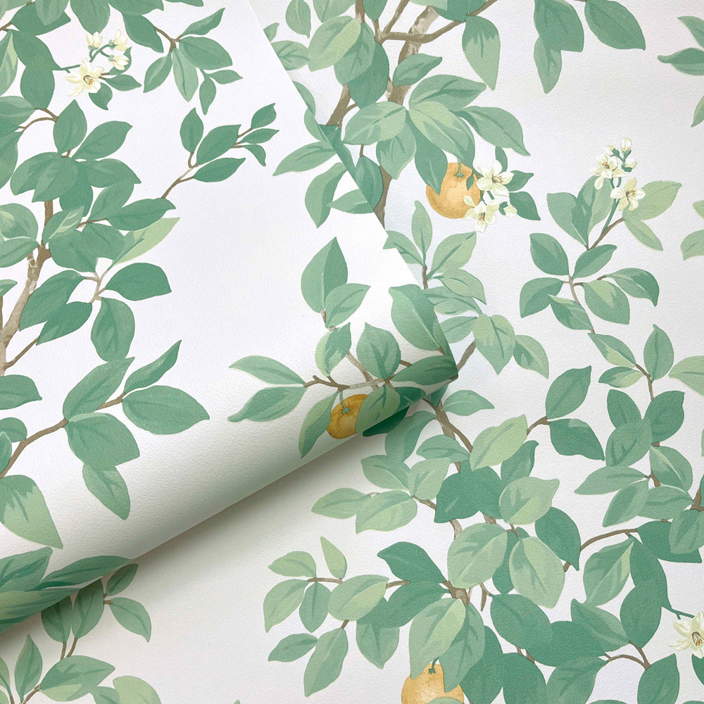 Holden Decor Orange Tree Cream and Green Wallpaper Image 2