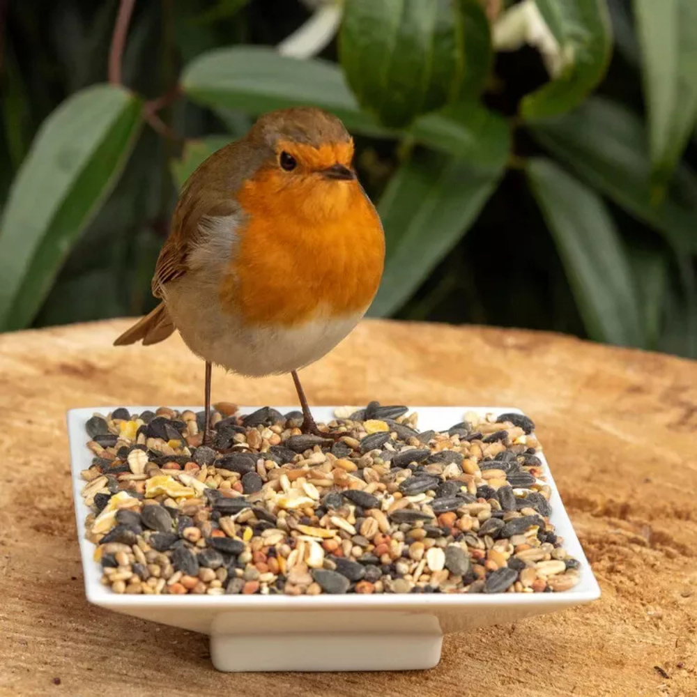 Marco Paul Bird Seed Food 12.75kg Image 2