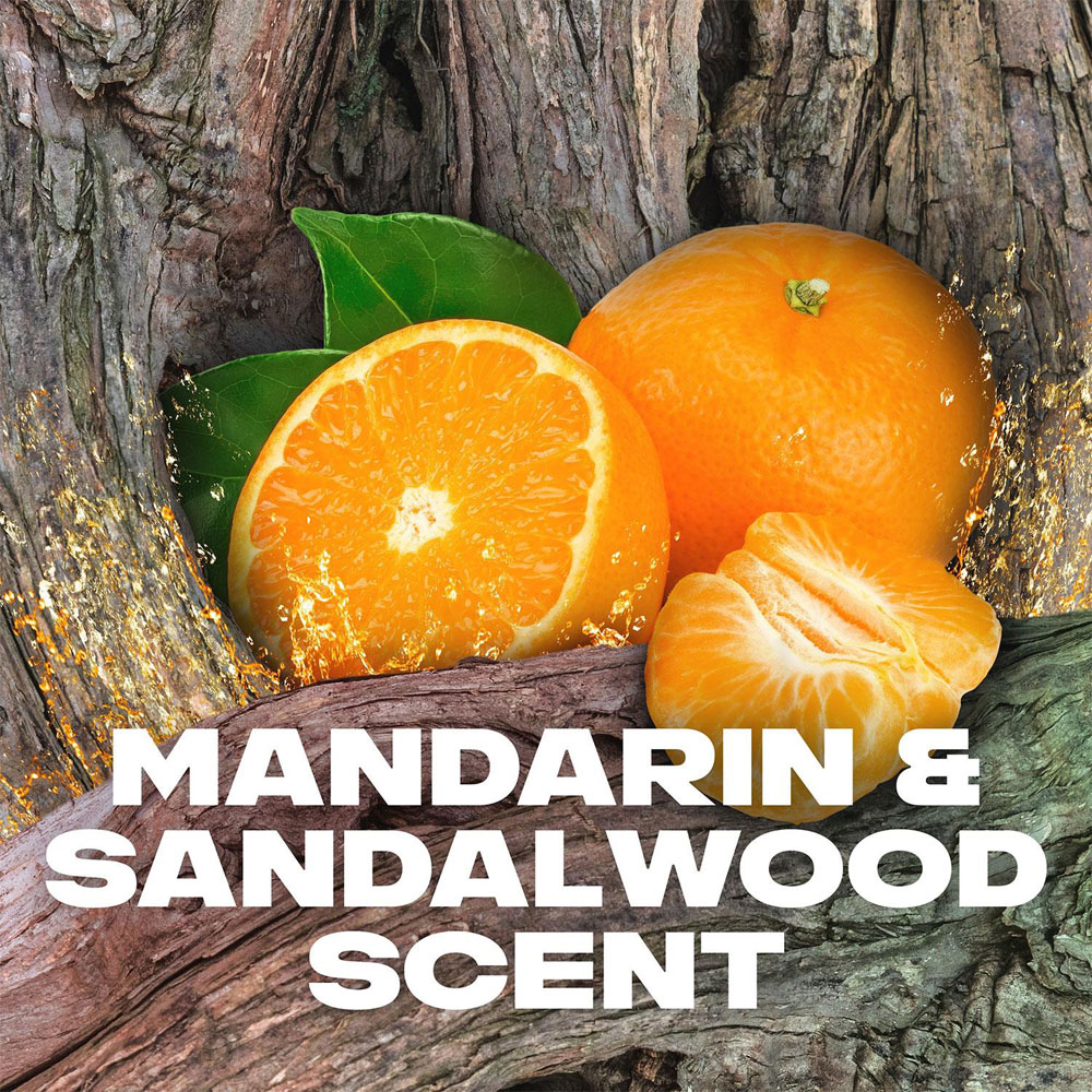 Lynx Africa Squeezed Mandarin and Sandalwood Shower Gel 225ml 6 Pack Image 4