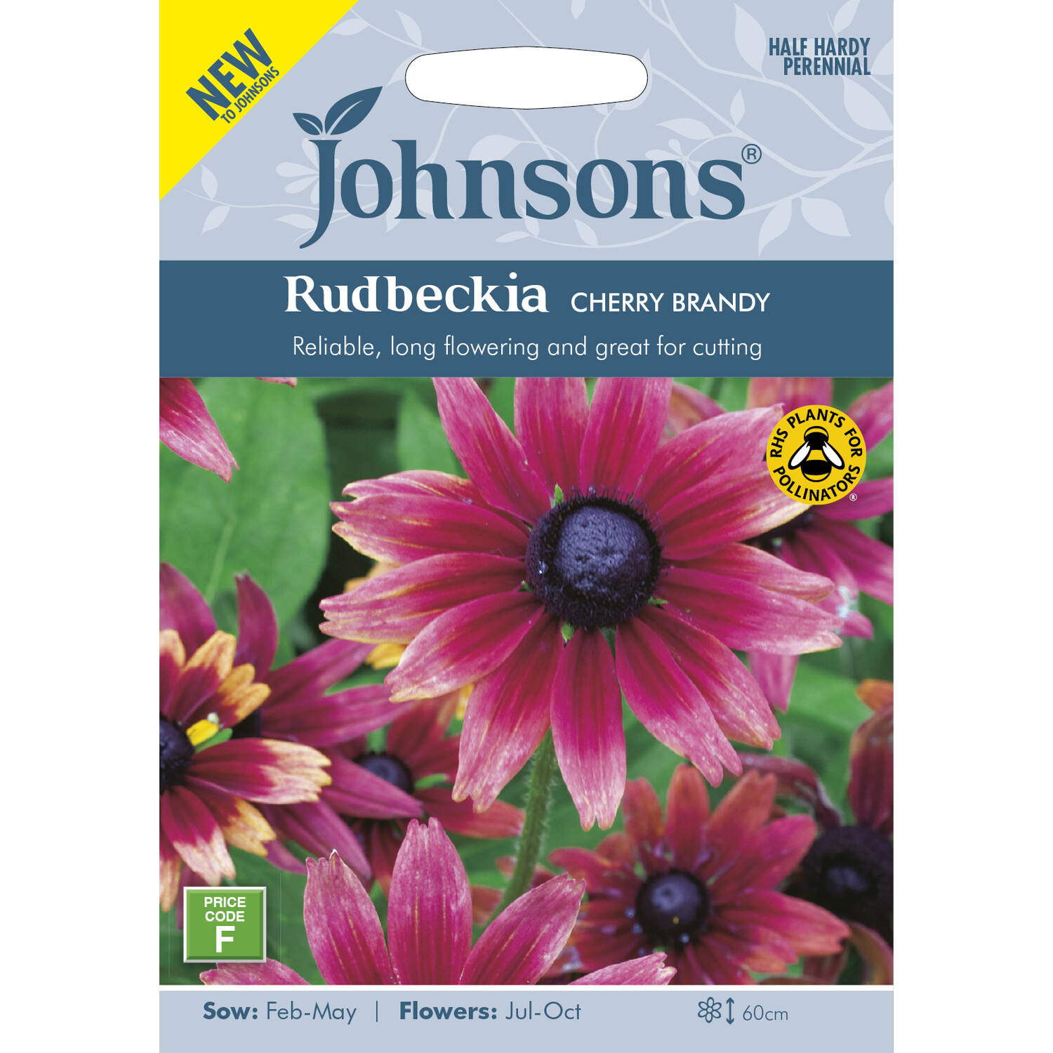 Rudbeckia Cherry Brandy Image