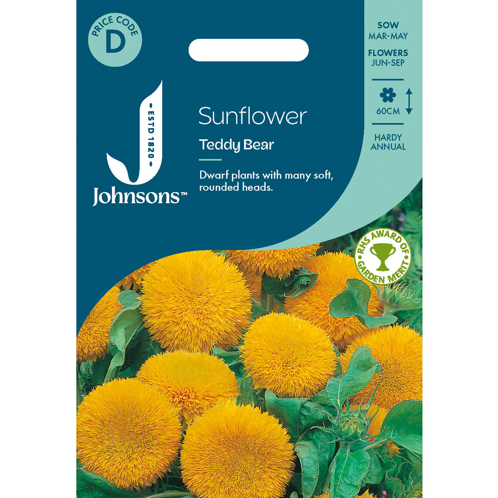 Pack of Sunflower Teddy Bear Flower Seeds Image 1