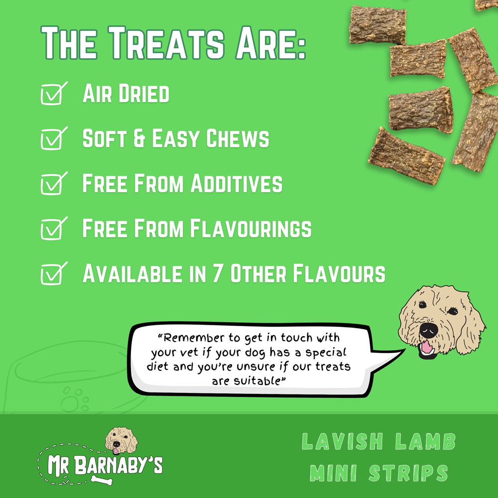 Mr Barnaby's Lavish Lamb Mini Strips Dog Treats 2 Pack Image 6