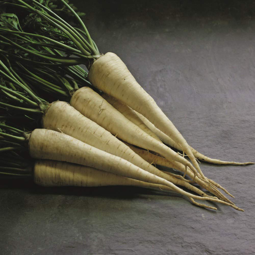 Thompson & Morgan Parsley Hamburg Arat Seeds Image 3