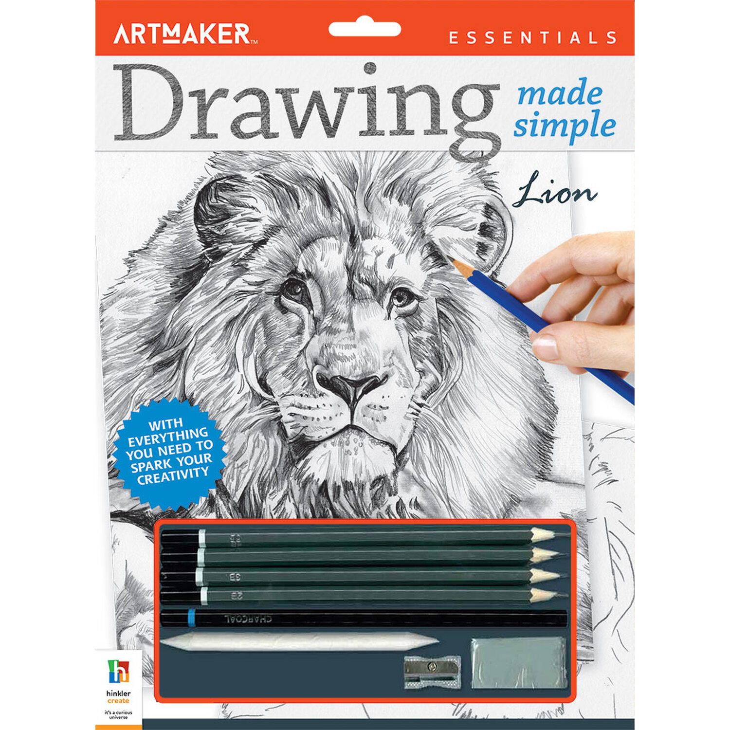 Drawing Made Simple Kit - Lion Image