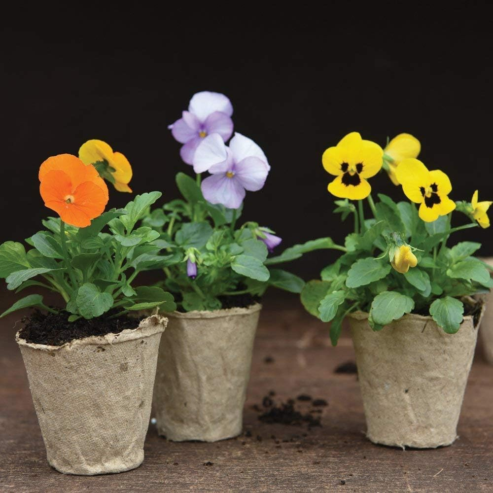 Garden Gear Garden Grow Fibre Grow Pot 96 Pack Image 4