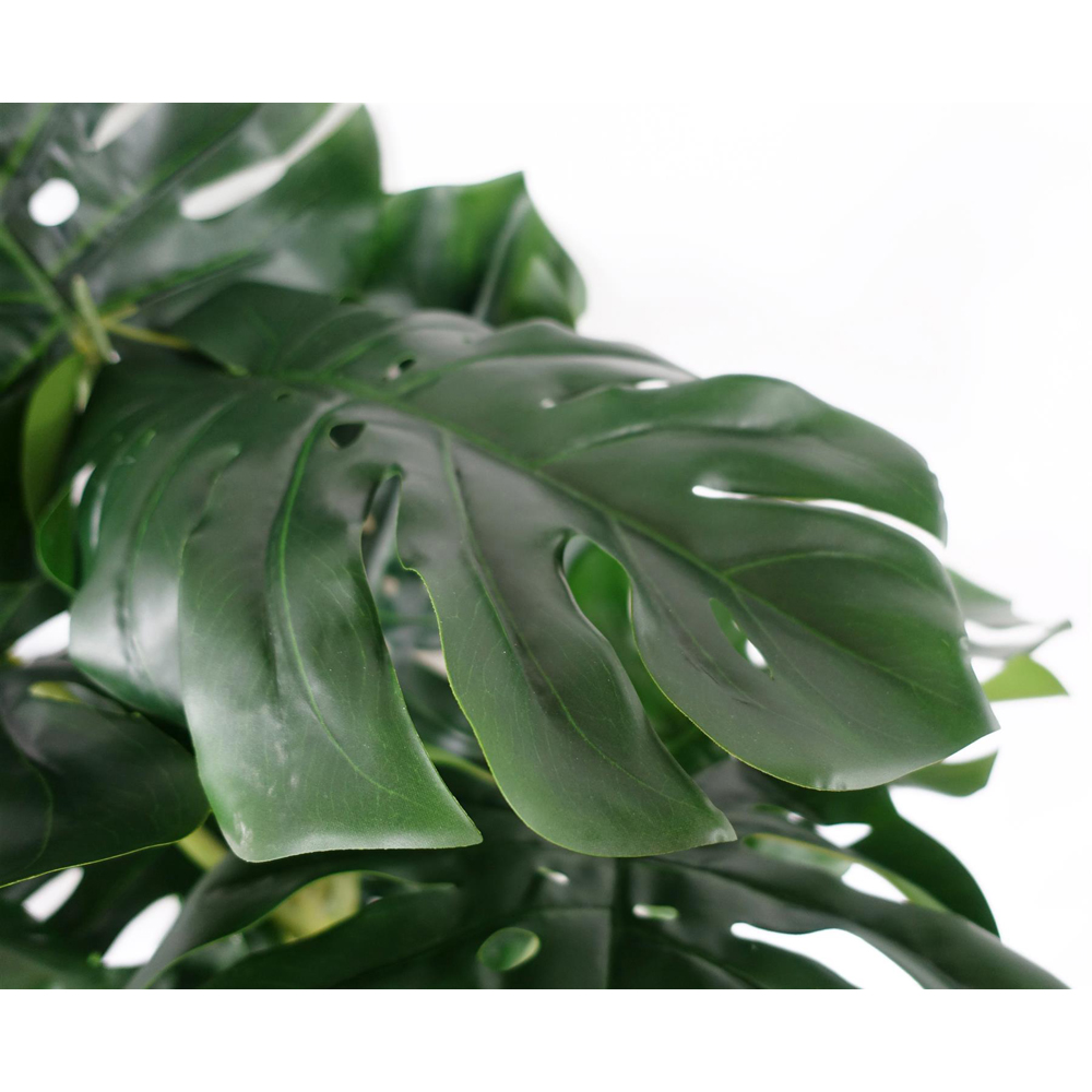 Botanik Premium Monstera Artificial Plant 4.9ft Image 4