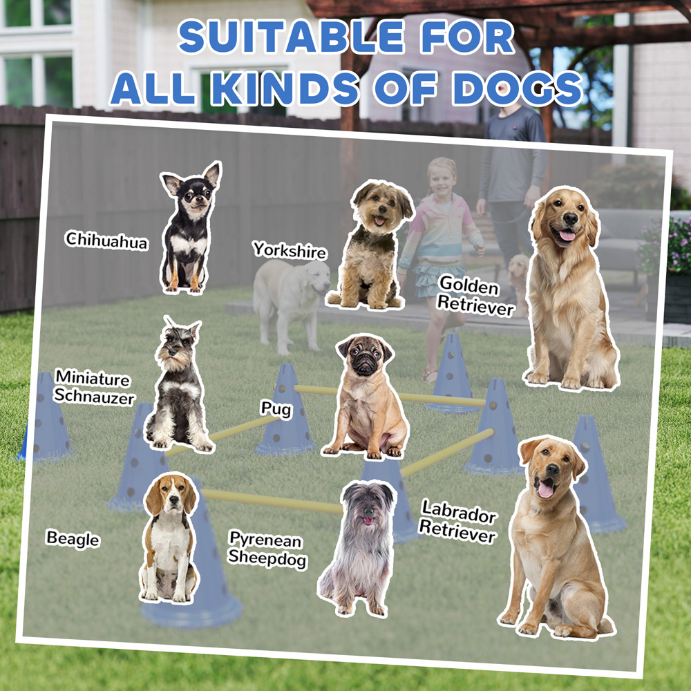 PawHut 8 Piece Blue Dog Agility Training Equipment Set Image 8